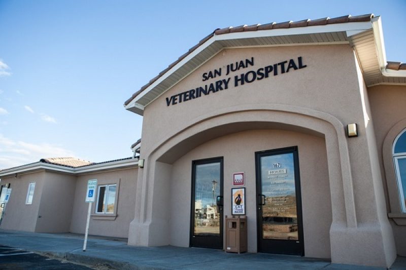A Message From Dr. Garcia - Veterinary Farmington