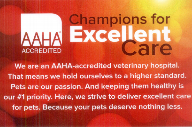 We are AAHA-accredited! - Veterinary Farmington