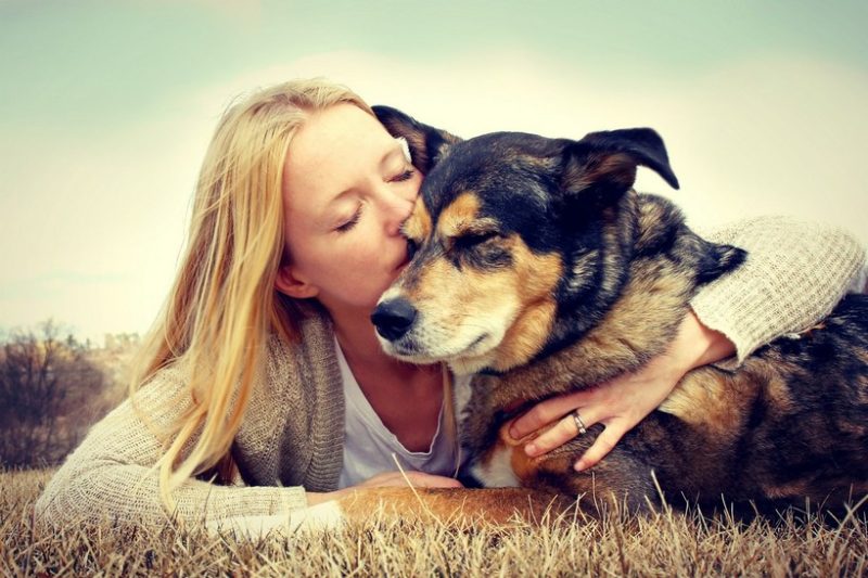 Heartworm 101 for Dogs and Cats - Veterinary Farmington