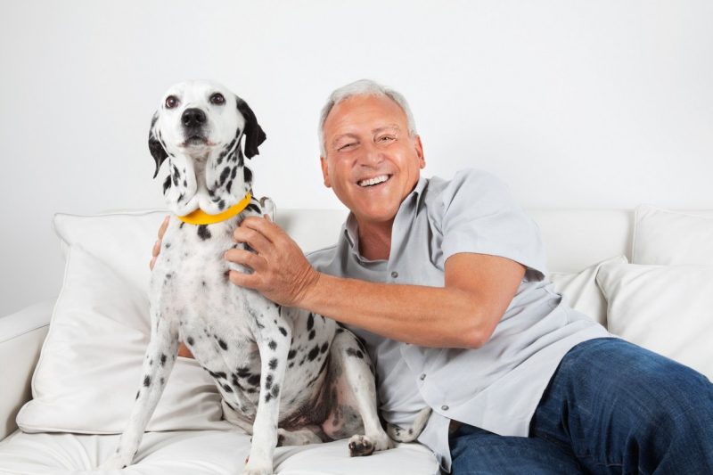 Heartworm 101 for Dogs and Cats - Veterinary Farmington