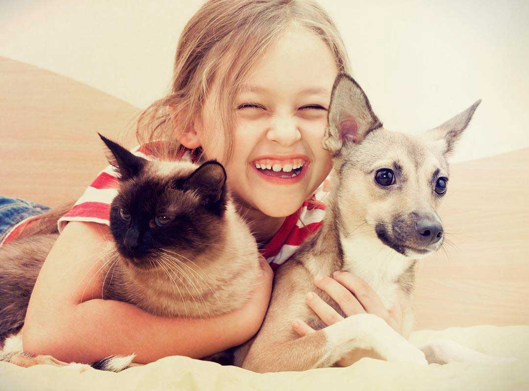 AAHA-Accredited Veterinary Hospital