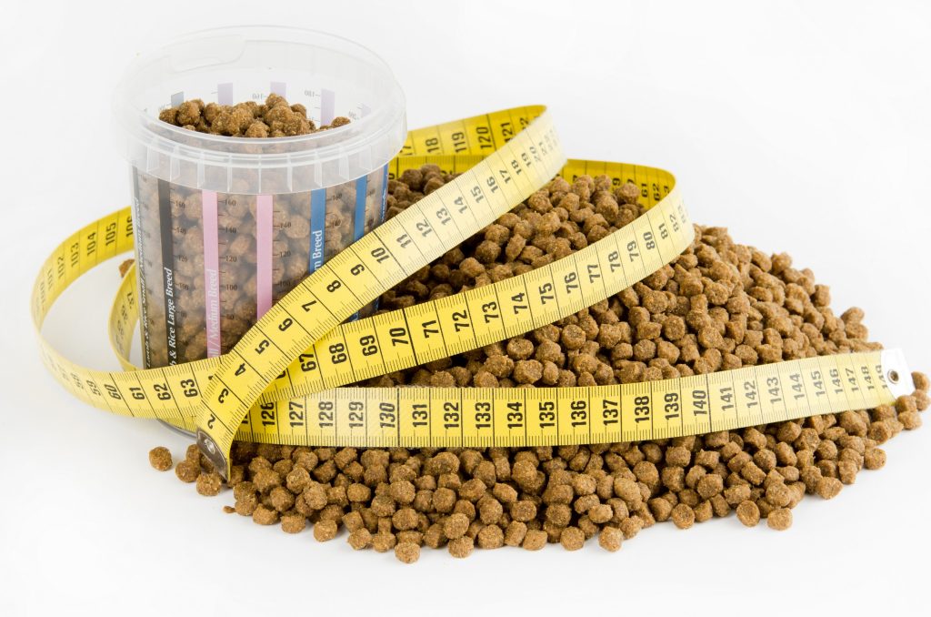 Nutritional Counseling in Farmington, NM